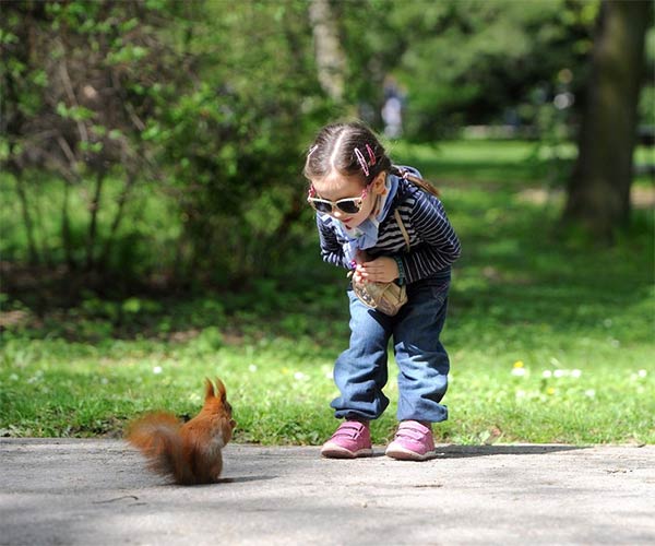 Cute Child Looks At Squirrel