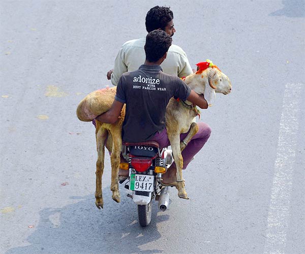 Eid-ul-Adha 2014 Photos