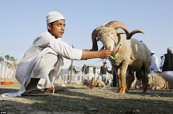 Eid-ul-Adha 2014 Photos