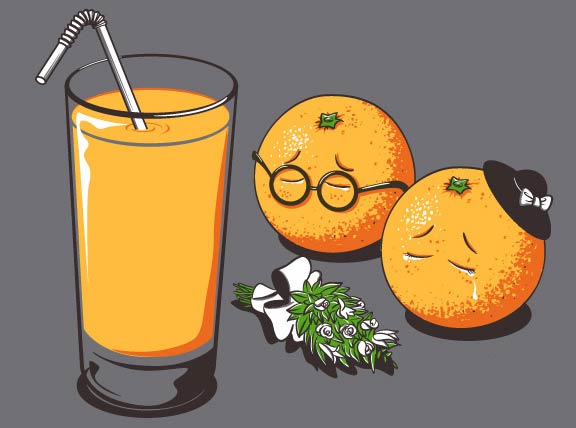 Funny Illustrations