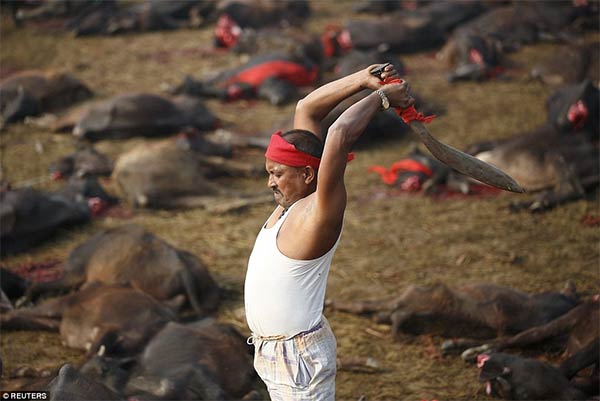 Gadhimai Festival Nepal