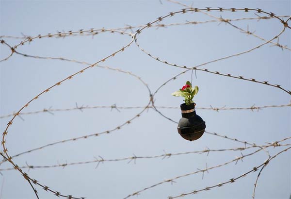 Palestinian gardener uses hundreds of spent tear gas canisters as plant pots