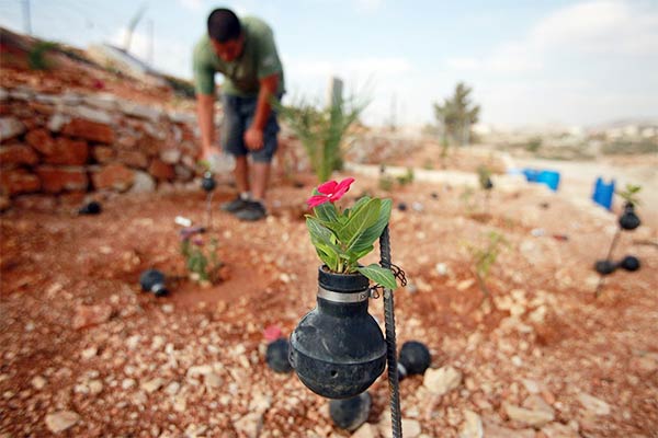 Palestinian gardener uses hundreds of spent tear gas canisters as plant pots