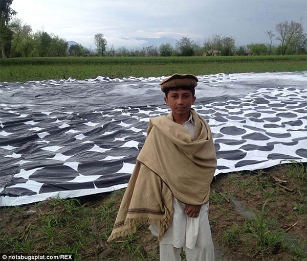 Girl's Poster in The Fields of Khyber Pakhtunkhwa