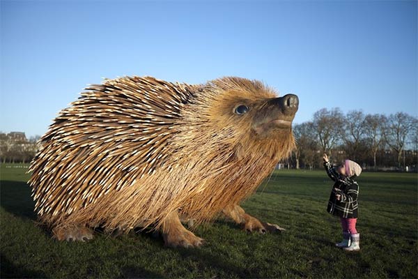 Giant Hedgehog Sculpture