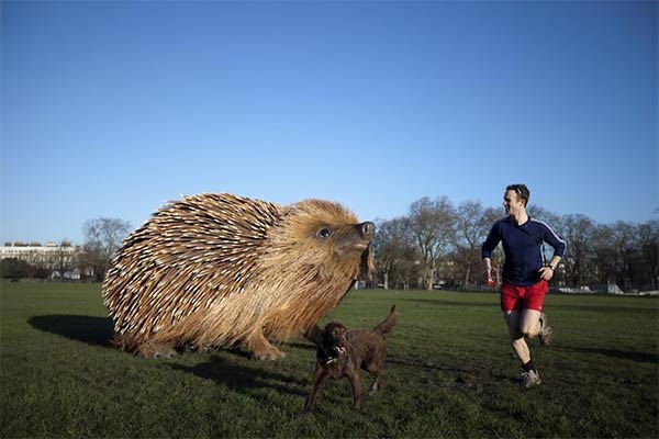 Giant Hedgehog Sculpture