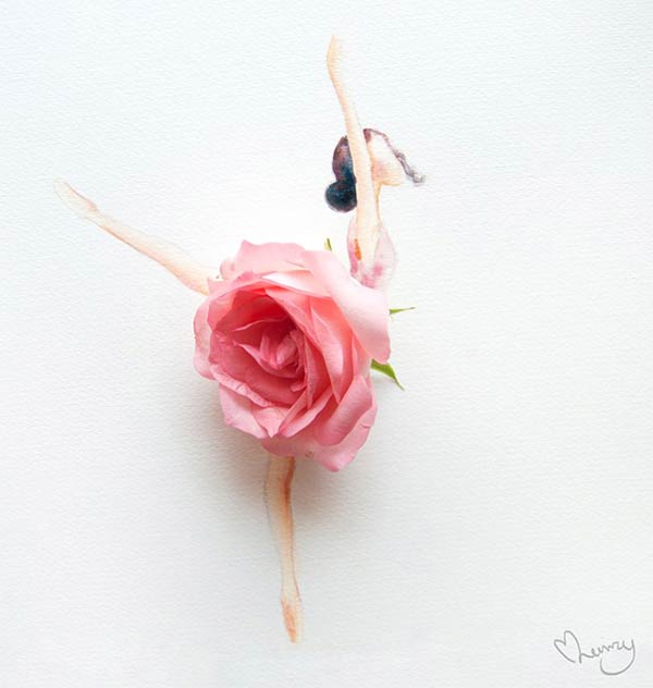 Artist makes lovely illustrations using flowers