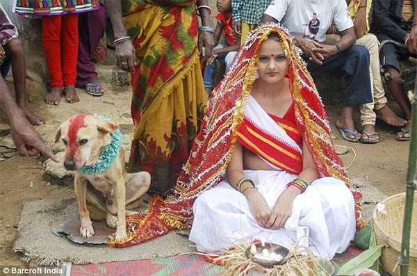 Indian Girl Marries A Dog