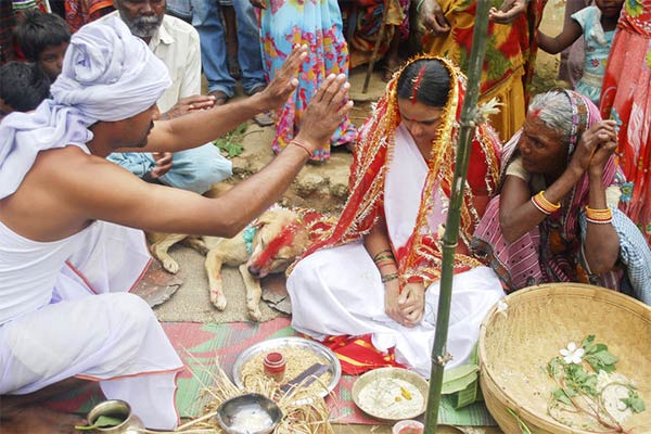 Indian Girl Marries A Dog