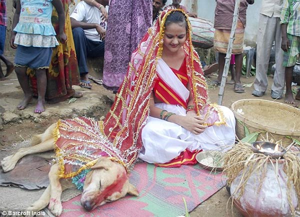 Indian Girl Marries A Dog