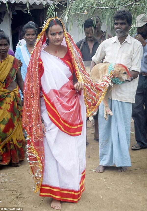 Indian Girl Marries A Dog