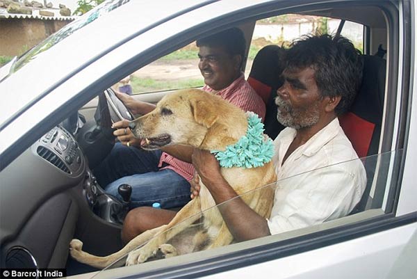 Indian Girl Marries A Dog