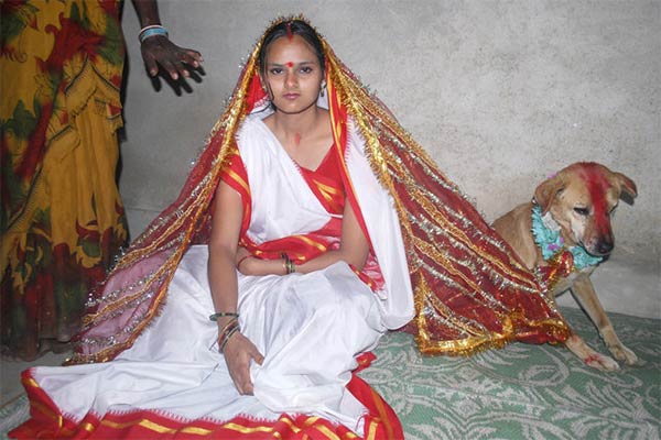 Indian Girl Marries A Dog