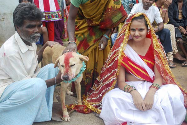 Indian Girl Marries A Dog