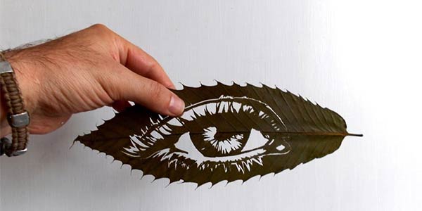 Intricate Leaf Cutting Art by Omid Asadi