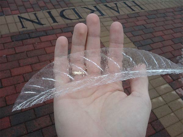 Leaf-Shaped Ice