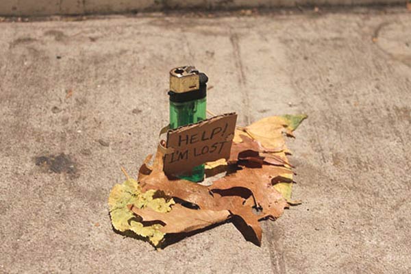 Funny Cardboard Signs Express the Thoughts of Lost Objects