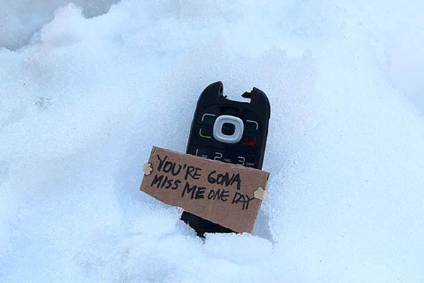 Funny Cardboard Signs Express the Thoughts of Lost Objects