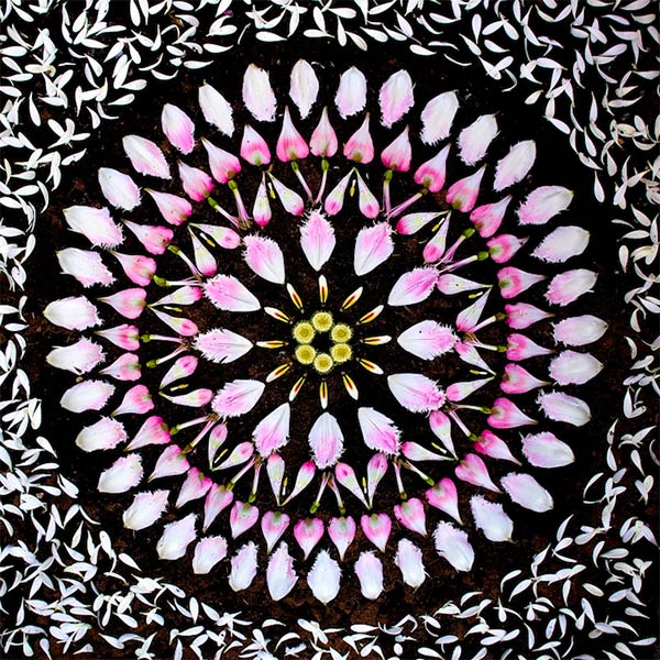 Beautiful Mandalas Made from Nature by Kathy Klein