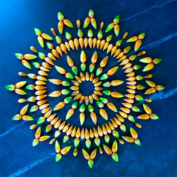 Beautiful Mandalas Made from Nature by Kathy Klein