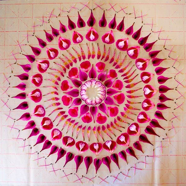 Beautiful Mandalas Made from Nature by Kathy Klein