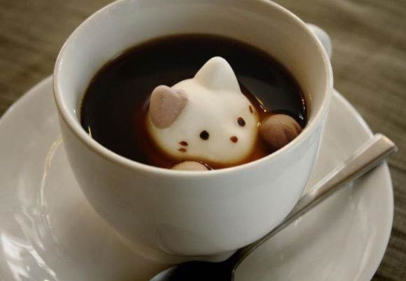 Marshmallow Cats