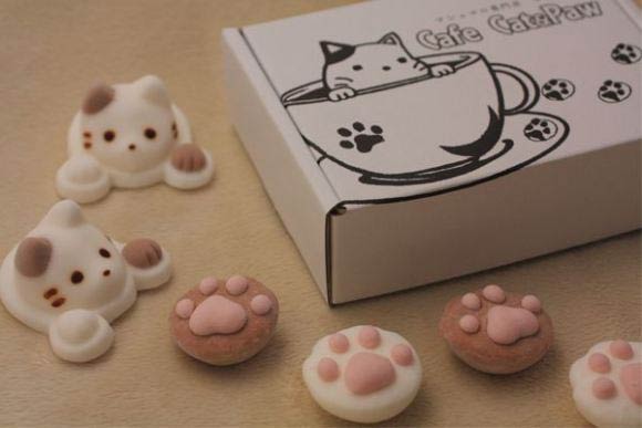 Cute Marshmallow Cats