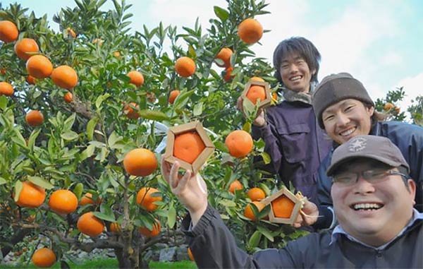 Pentagon-Shaped Oranges