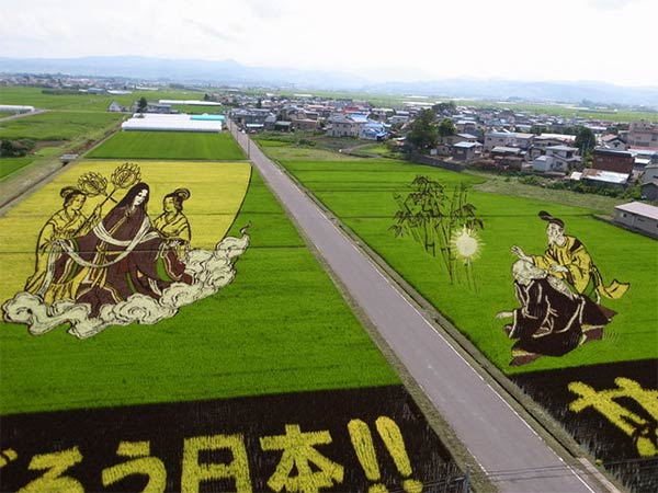 Japanese Rice Paddy Art