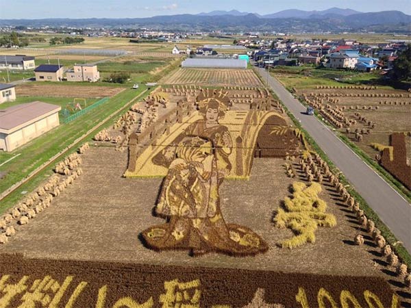 Japanese Rice Paddy Art