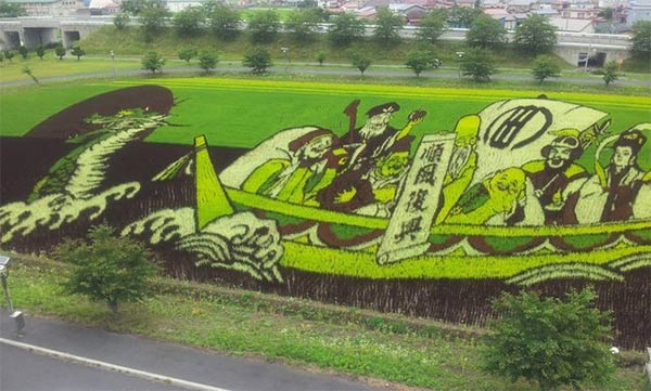 Japanese Rice Paddy Art