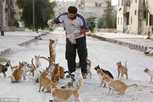 Syrian Ambulance Driver Feeds Orphaned Cats