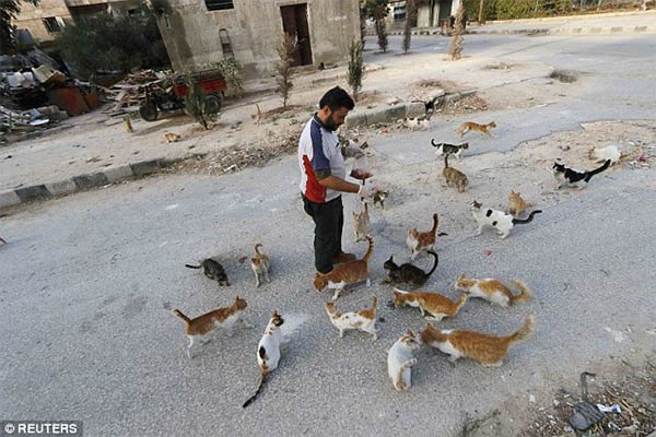 Syrian Ambulance Driver Feeds Orphaned Cats