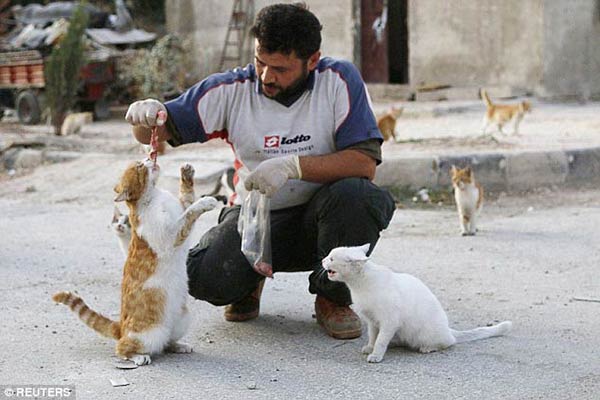 Syrian Ambulance Driver Feeds Orphaned Cats