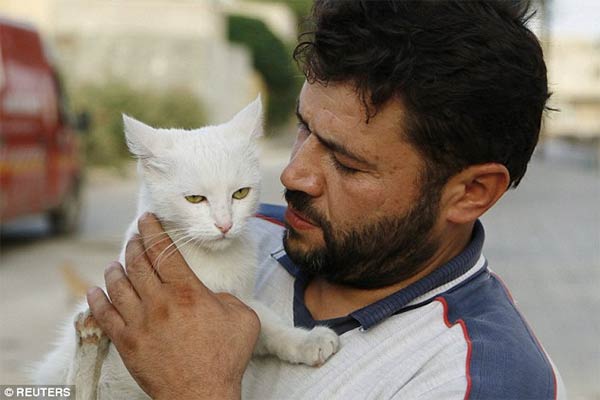 Syrian Ambulance Driver Feeds Orphaned Cats