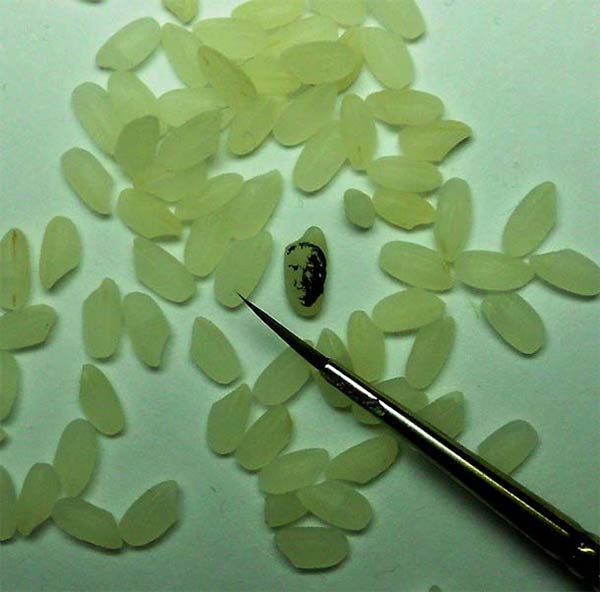 Tiny Paintings of Istanbul by Hasan Kale