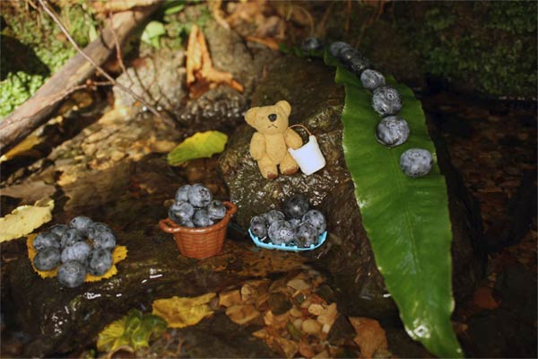 Learn How To Make Blueberry Jam With This Tiny Bear