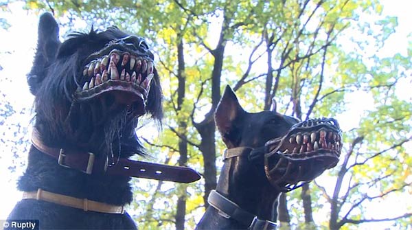 Terrifying Dog Muzzle