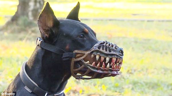 Terrifying Muzzle Can Transform Your Dog Into Warewolf