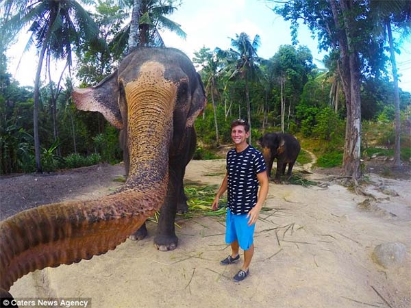 Elephant Grabbed Camera & Took Selfie