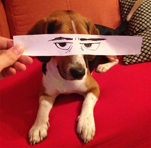 Funny Eye Illustrations For Juno, The Dog