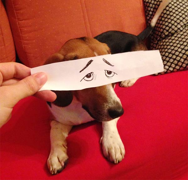 Funny Eye Illustrations For Juno, The Dog