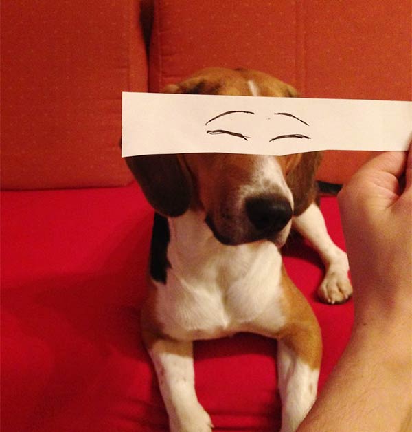 Funny Eye Illustrations For Juno, The Dog