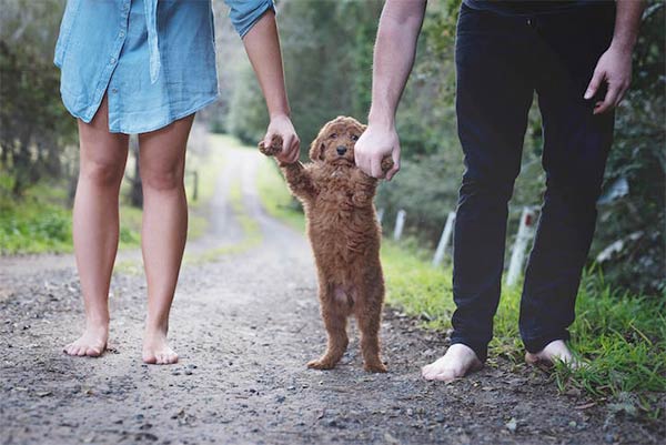 Newborn Photoshoot with Dog