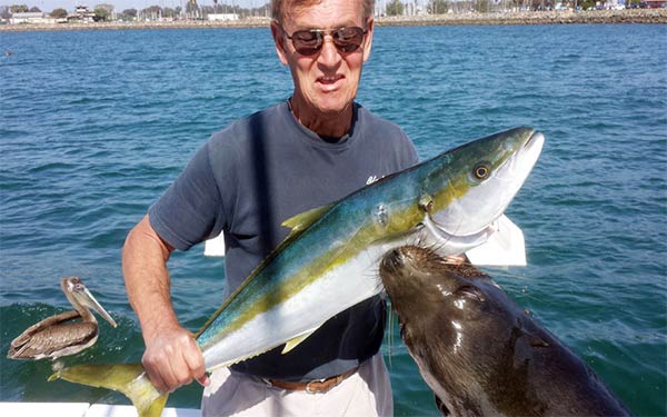 Hungry & Aggressive Sea Lion Grabs Fish & Fisherman