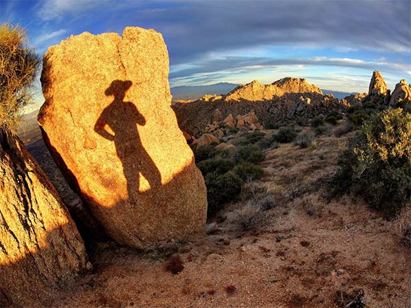 Shadow Selfie