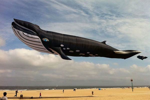 90 ft Whale Kite