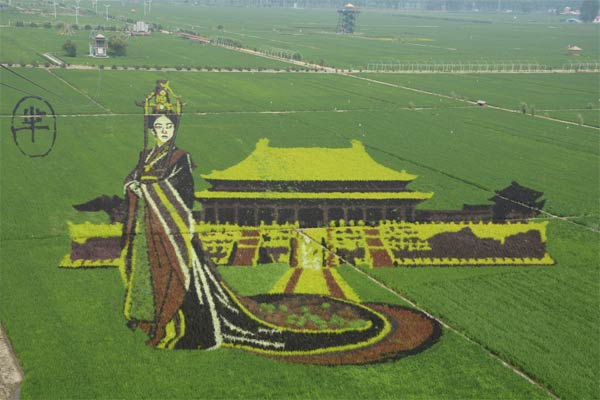 3D Image of Mi Yue Made with Rice Saplings