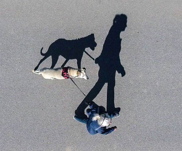 Dog & Woman Shadow