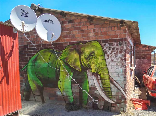 Elephant Graffiti Art